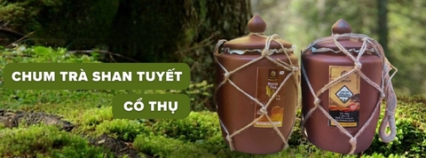 Trà cổ thụ shan tuyết Shanam