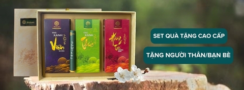 Trà Việt Shan Tuyết Cổ Thụ