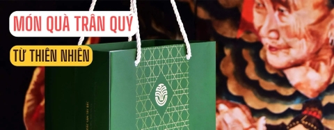 Trà Shan Tuyết Cổ Thụ Shanam