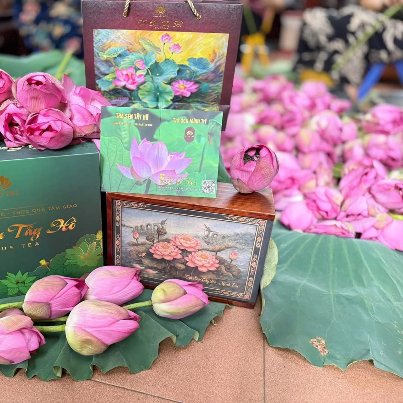 Minh Tri West Lake lotus tea gift boxes with fresh Bach Diep lotus buds