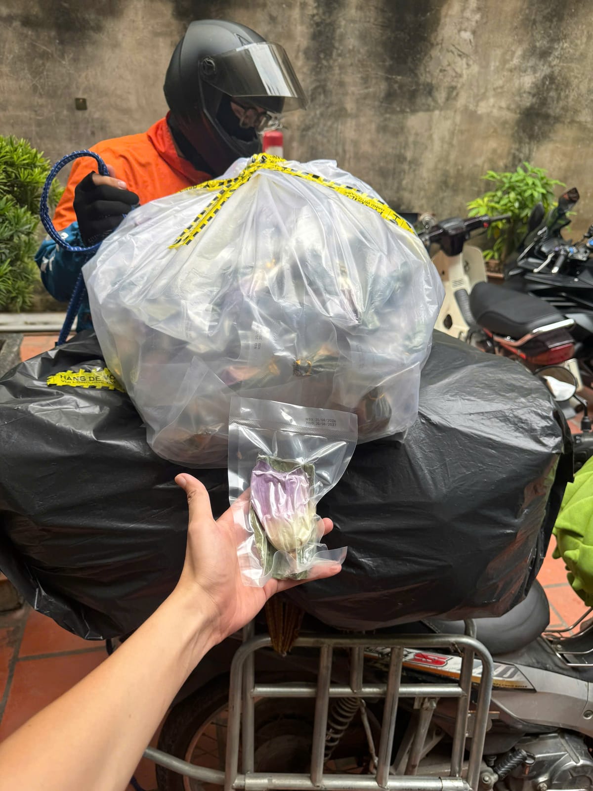 Từng bông trà sen hút chân không được kiểm tra trước khi đóng thùng