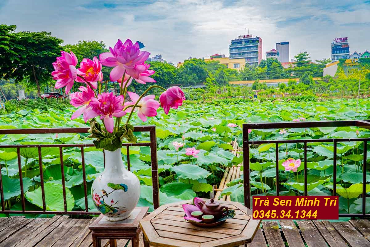 Trà sen Tây Hồ - Nguồn gốc của Trà Sen Tây Hồ - Trà Sen Minh Trí giới thiệu về Trà Sen Truyền Thống ở Tây Hồ